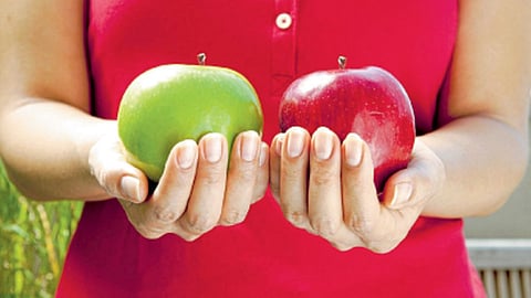 Fruit