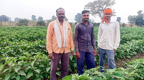 Farmers achieve economic prosperity through production