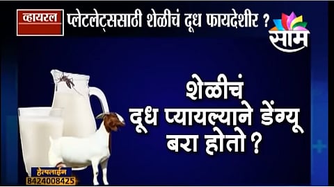 Viral Satya : शेळीचं दूध डेंग्यू करतो बरा? (Video) 