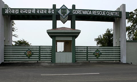 Inauguration of Balasaheb Thackeray Gorewada International Animal Park tomorrow