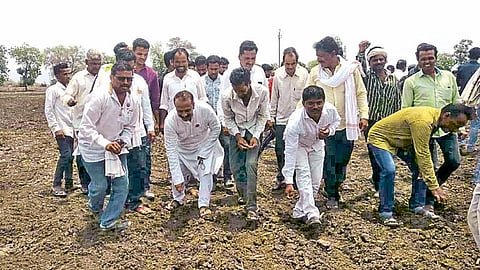 अकोला जिल्ह्यात शेतकरी संघटनेच्या नेतृत्वाखाली प्रतिबंधित ‘एचटीबीटी’ बियाण्याची लागवड करताना.