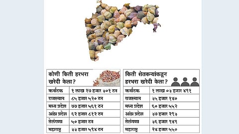 Harbhara