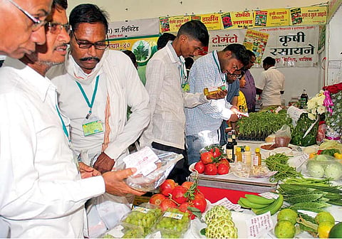 नाशिक - ‘सकाळ- ॲग्रोवन’ आणि यशवंतराव चव्हाण महाराष्ट्र मुक्त विद्यापीठ यांच्यातर्फे आयोजित राष्ट्रीय फलोत्पादन महापरिषदेत रविवारी प्रदर्शनात फळांविषयी माहिती जाणून घेताना शेतकरी.