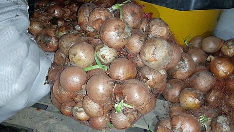 भिवंडीत इराणच्या कांद्याची आवक