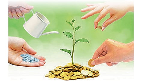 Investment