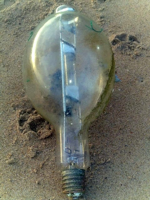 led bulb found malvan beach konkan sindhudurg