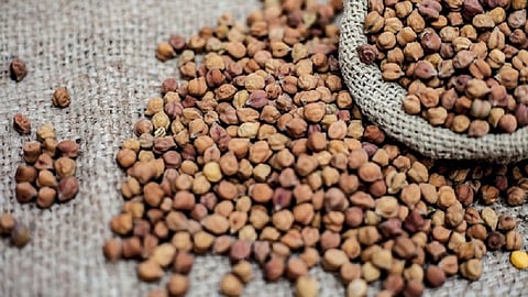farmers sold more than 4 lac quintal chickpeas  
