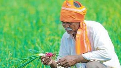 Agriculture news Kharif season crop competition for farmers pune 
