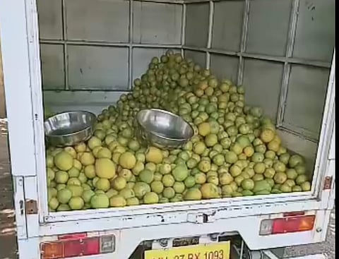 Mango