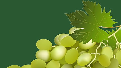 Grapes News