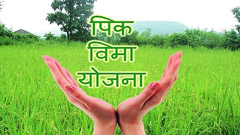Online facility of insurance companies