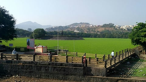  PNE18O80243.jpg