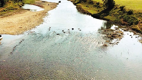१ लाख हेक्‍टर क्षेत्र होणार कोरडवाहू 