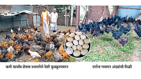 Poultry-Farm