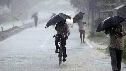 Rain