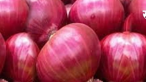 NAFED Onion News