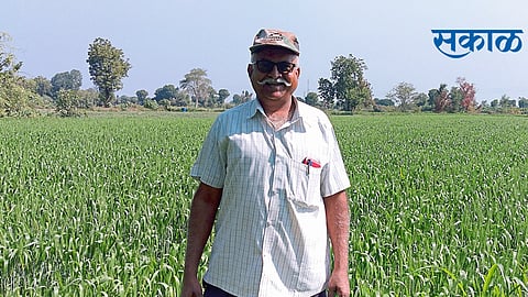 तेरी मिट्टी मे मिल जावा, गुल बनके मैं खिल जावा...