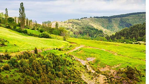 shimla