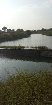 श्रमदानातून गावाने घडवली जलक्रांती; पाणी टंचाईवर देखील केली मात ! 