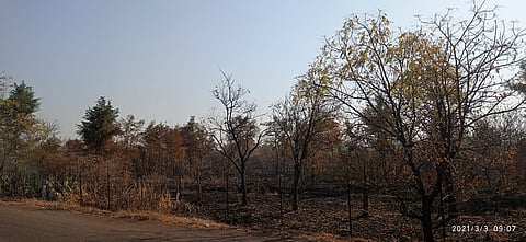 Sidheshwar Vanvihar.jpeg