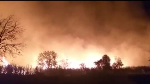 Sugarcane-Fire