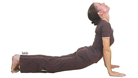 Suryanamaskar