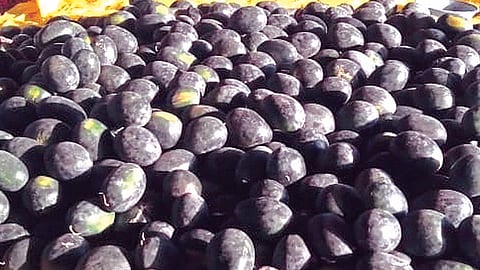 hingoli photo