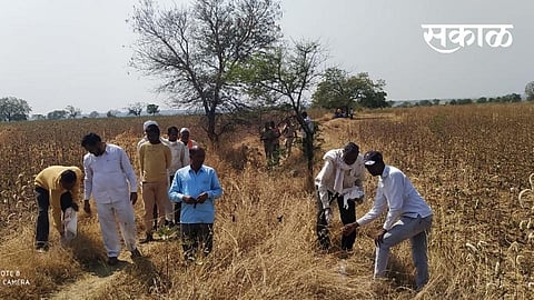 The road that has been blocked for fifteen years in Kurula has been cleared.jpg
