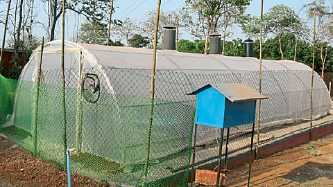 जास्त प्रमाणात पदार्थ सुकविणारे टनेल टाइप सौर ड्रायर 