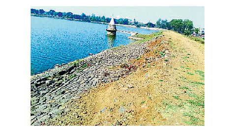 Kalamba Lake is polluting the water kolhapur marathi news