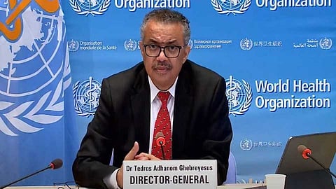 WHO director