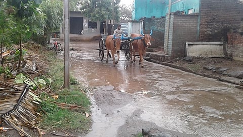 वडीगोद्री परिसरात पावसाचे साचलेले पाणी 