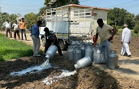 Milk was adulterated at Rahuri!