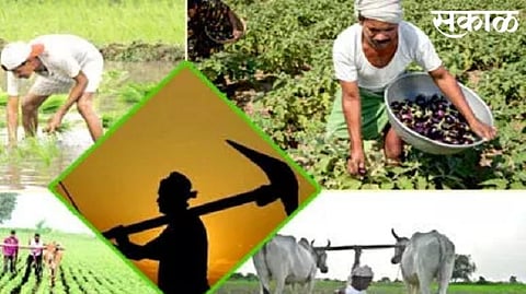 Agriculture News