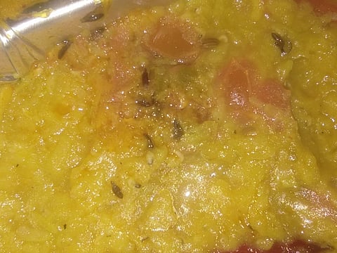 Larvae in the food of the people isolated