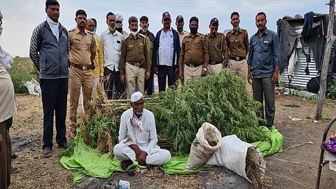 ambad ganja.jpg