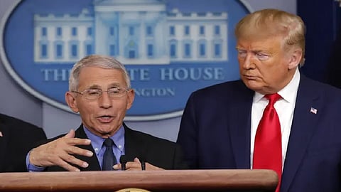 anthony fauci
