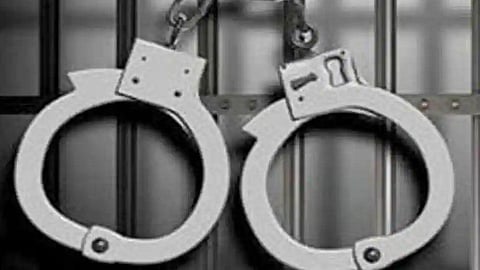 arrest 