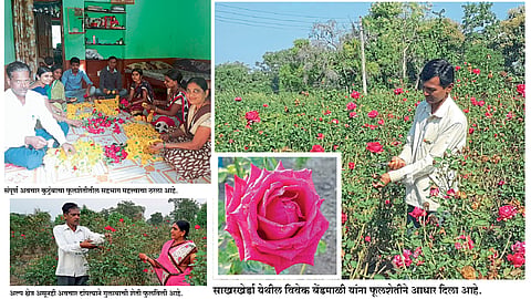 अल्पभूधारकांच्या आयुष्यात गुलाबाची टवटवी 