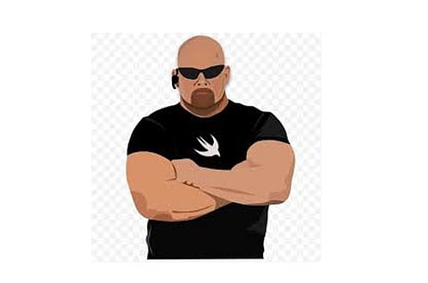 bauncer 