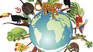 Economy Collapsed due to Declining in Biodiversity