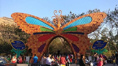 botanical garden.jpg
