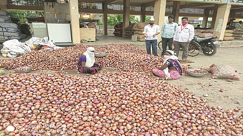 chakan onion