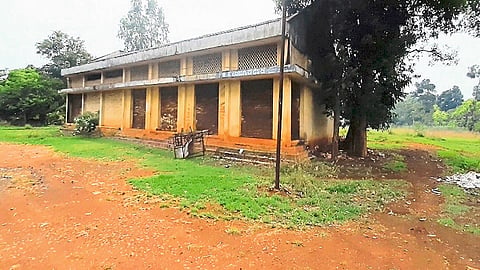Billions Of Rupees Worth Of Farm Produce Wasted In Chandgad Taluka Kolhapur Marathi News