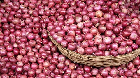 chandwad onion.jpg