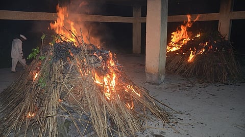 chita nandgaon.jpg