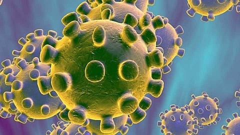 मोठी बातमी - सर्व शासकीय कार्यालयं पुढील ७ दिवस राहणार बंद 