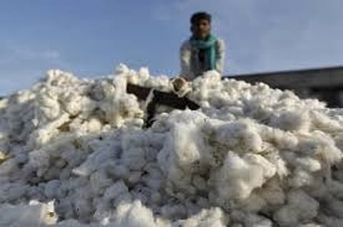 cotton