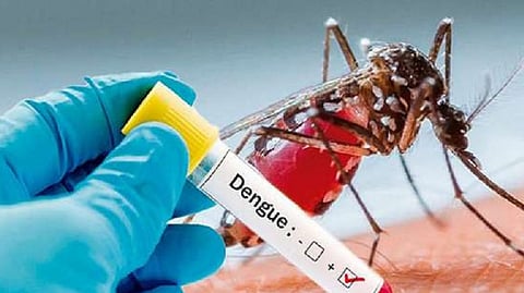 dengue and chikungunya