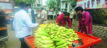 dhule corporation